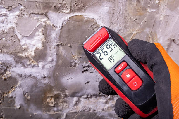Best Localized Mold Remediation (e.g., coastal areas, humid climates) in New California, OH