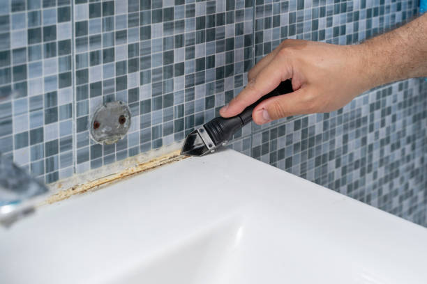 Best Emergency Mold Remediation in New California, OH